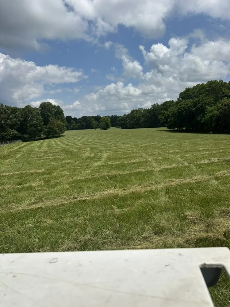 Professional lawn mowing service for outdoor upgrades across Bowling Green, KY - Gassaway Bush Hogging