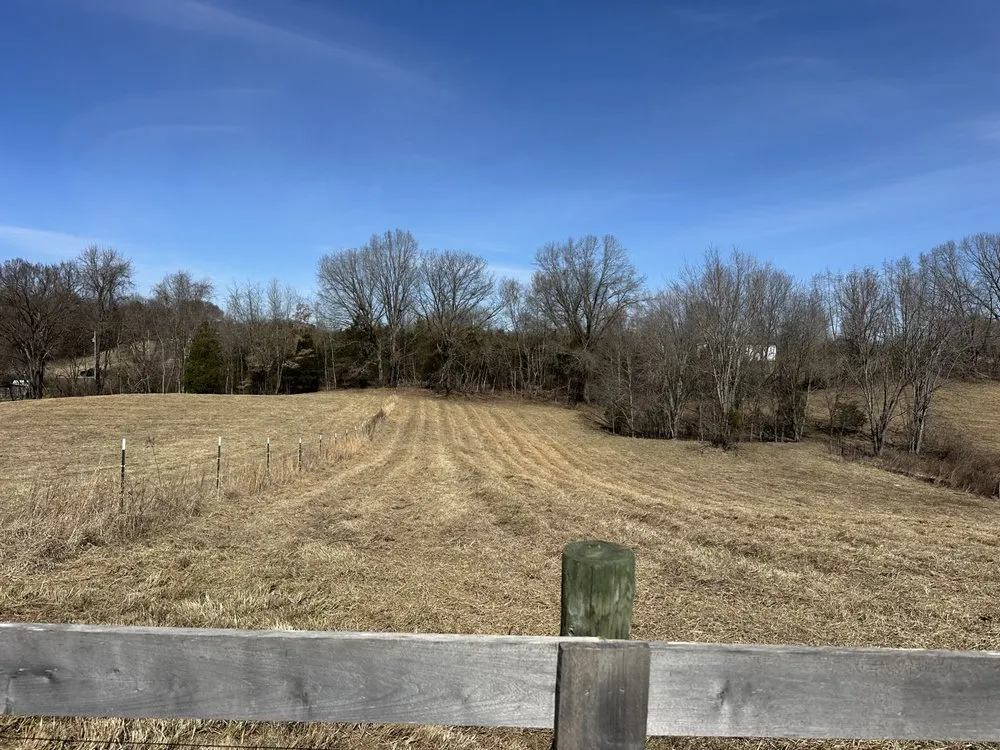 Professional landscaping services in Bowling Green, KY - Gassaway Bush Hogging