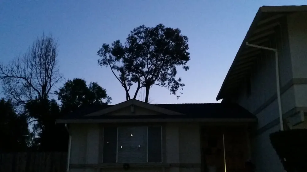 Reliable landscape design for homes in Dixon, CA by Gastelum Tree Service