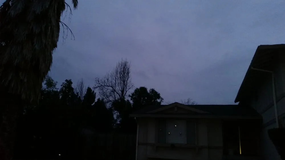 Trusted lawn care service in Dixon, CA - Gastelum Tree Service