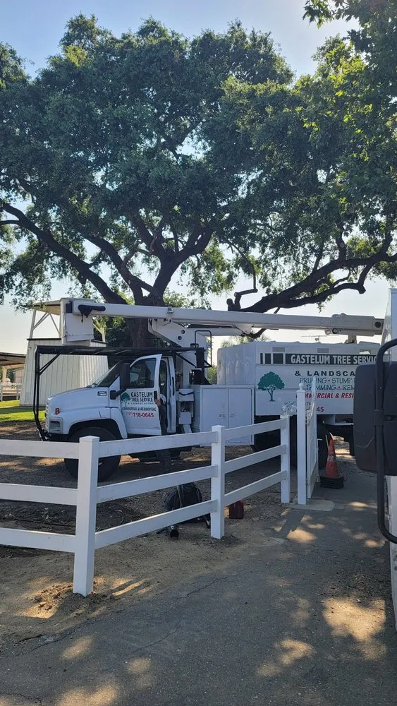 Local landscape installation experts serving Dixon, CA - Gastelum Tree Service