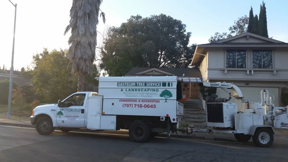 Custom lawn care service for beautiful yards across Dixon, CA - Gastelum Tree Service