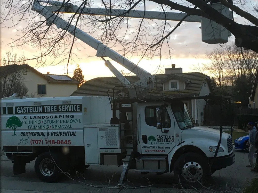 Trusted landscape design for residential properties across Dixon, CA - Gastelum Tree Service