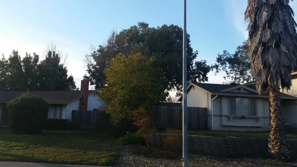 Reliable residential landscaping in Dixon, CA by Gastelum Tree Service