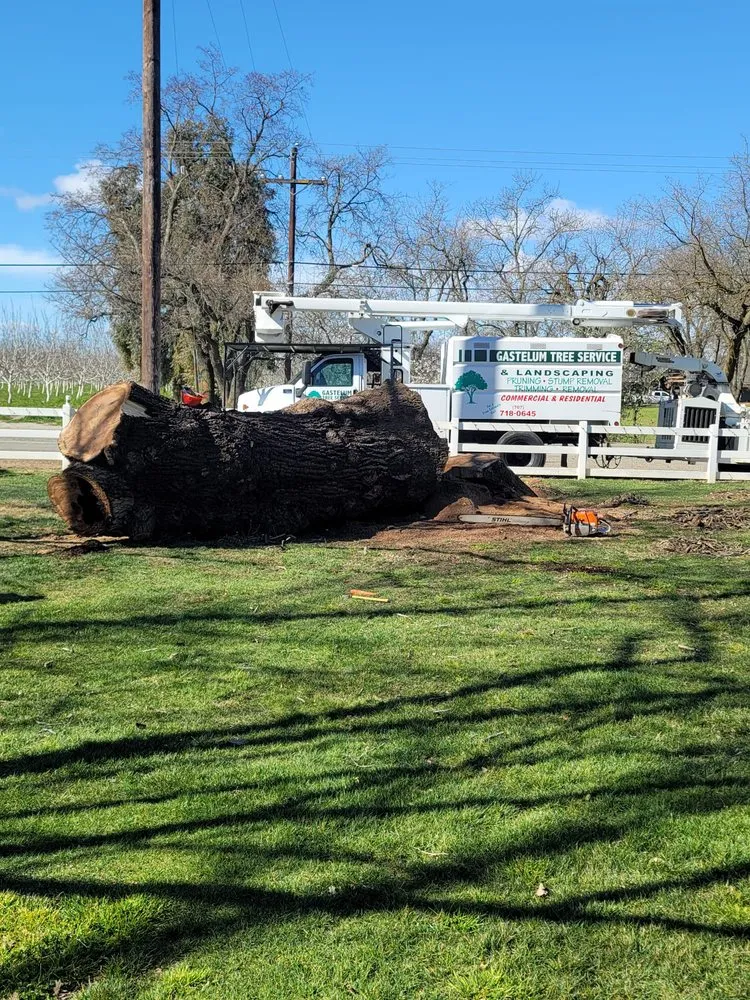 Expert lawn mowing service experts serving Dixon, CA - Gastelum Tree Service