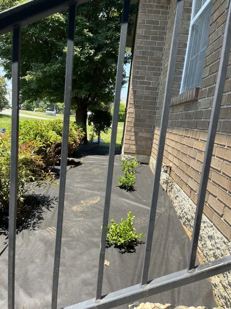 Affordable outdoor landscaping in Mount Washington, KY - Gates Lawn & Landscaping