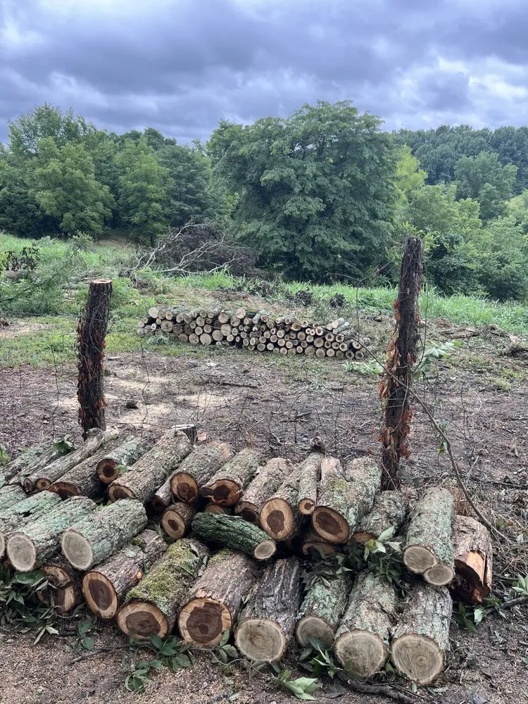 Custom yard cleanup service experts serving Mount Washington, KY - Gates Lawn & Landscaping