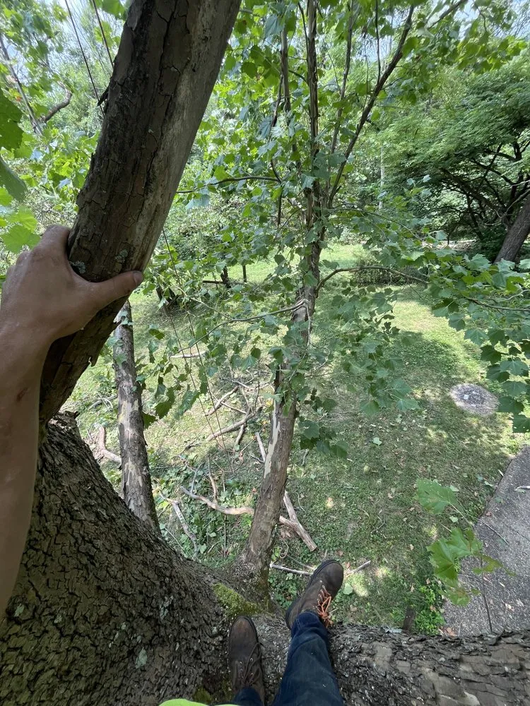 Expert lawn mowing service in Mount Washington, KY - Gates Lawn & Landscaping