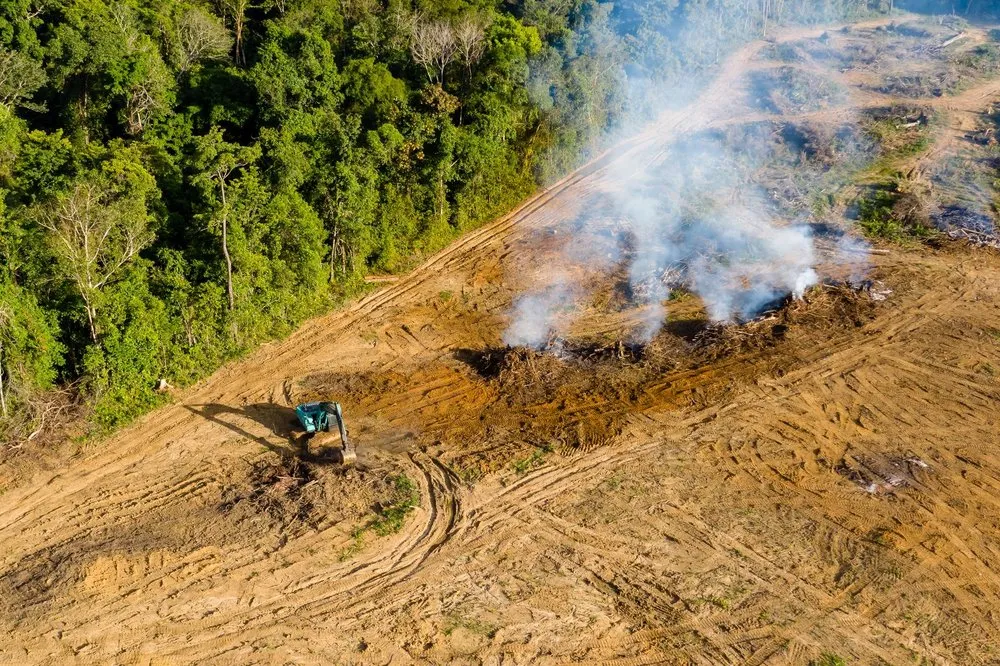 Affordable landscaping services for beautiful yards across Cameron, OK - Gates Tree Care and Removal