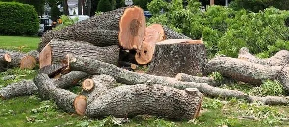 Custom residential landscaping in Cameron, OK by Gates Tree Care and Removal