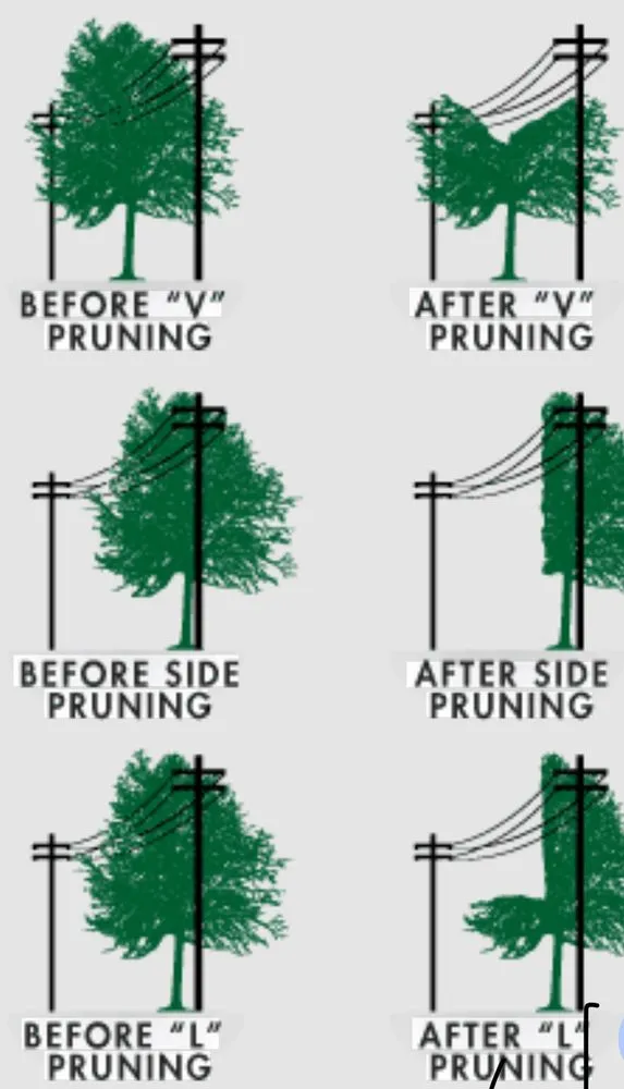 Reliable residential landscaping for homes across Cameron, OK - Gates Tree Care and Removal