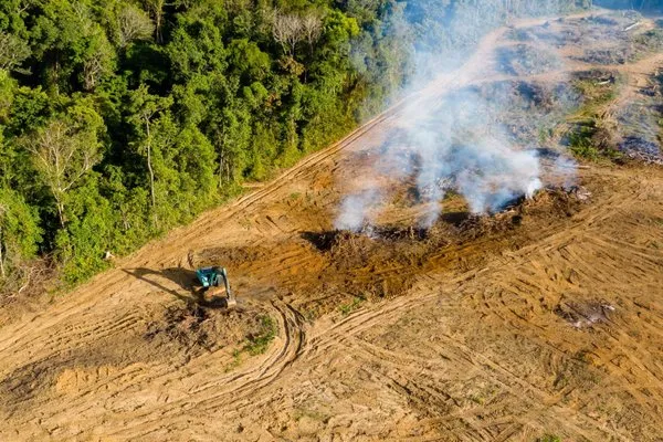 Gates Tree Care and Removal