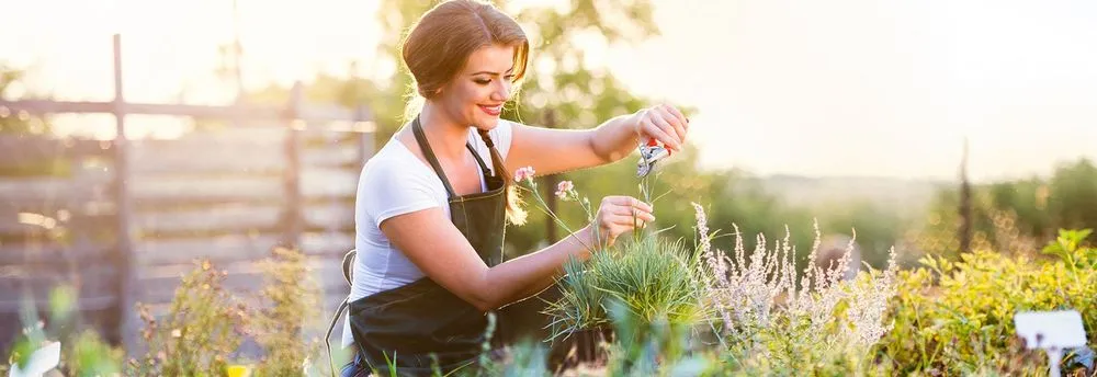 Top-rated outdoor landscaping experts serving Warrenton, VA - Gateway Home & Garden Center