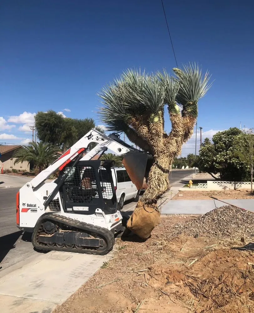 Affordable garden landscaping in Las Vegas, NV by Gateway Landscaping