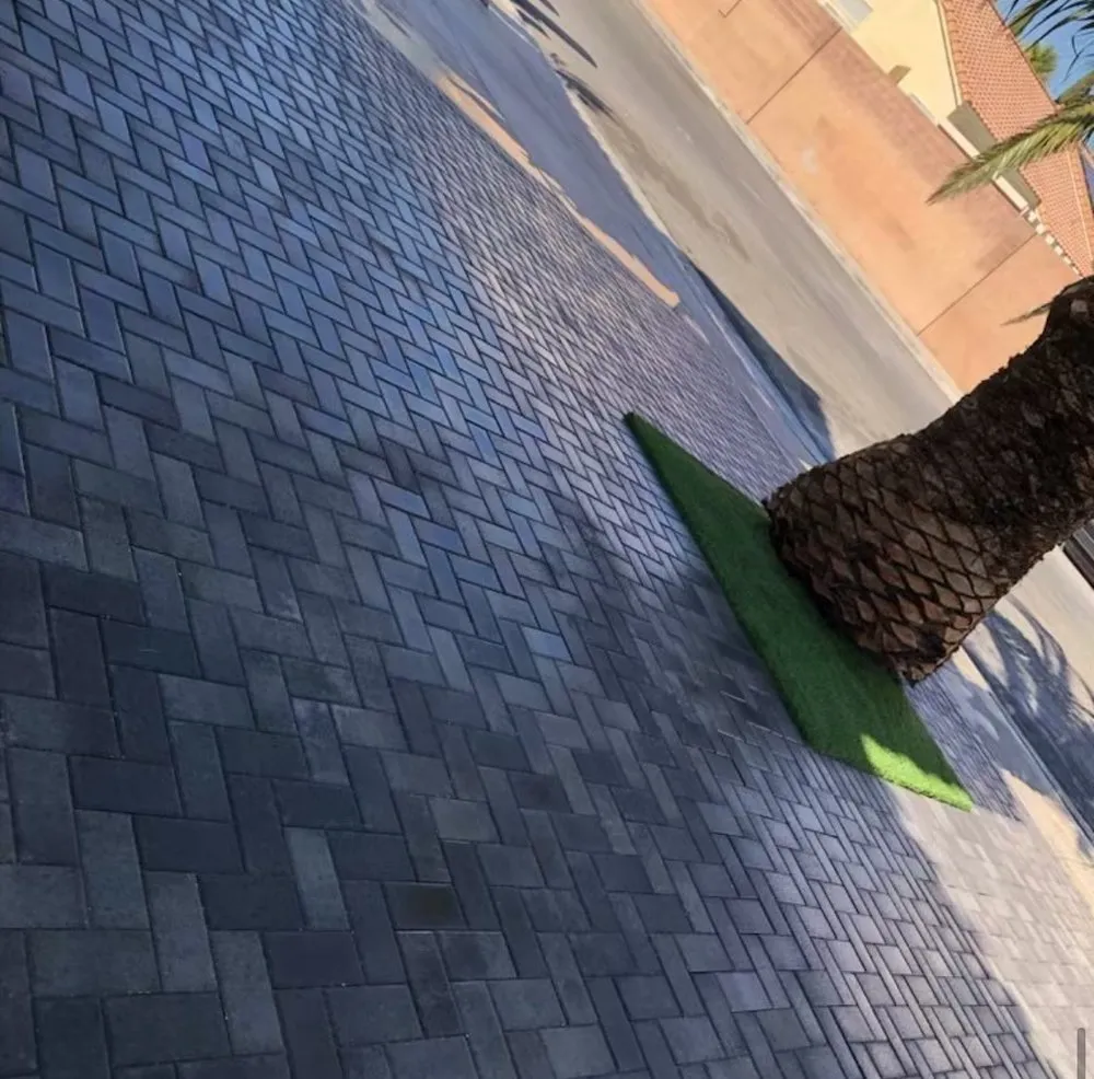 Reliable yard maintenance for residential properties in Las Vegas, NV by Gateway Landscaping