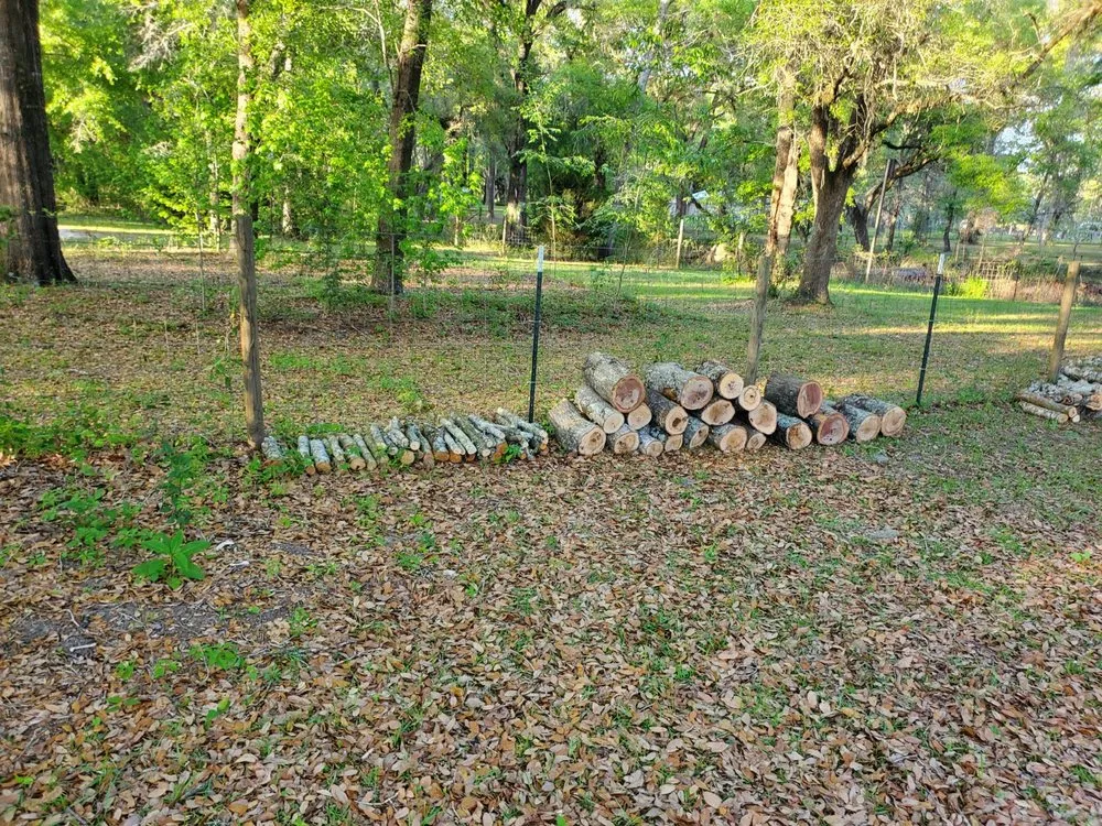 Custom landscape design in Lake City, FL - Gateway Lawn Care