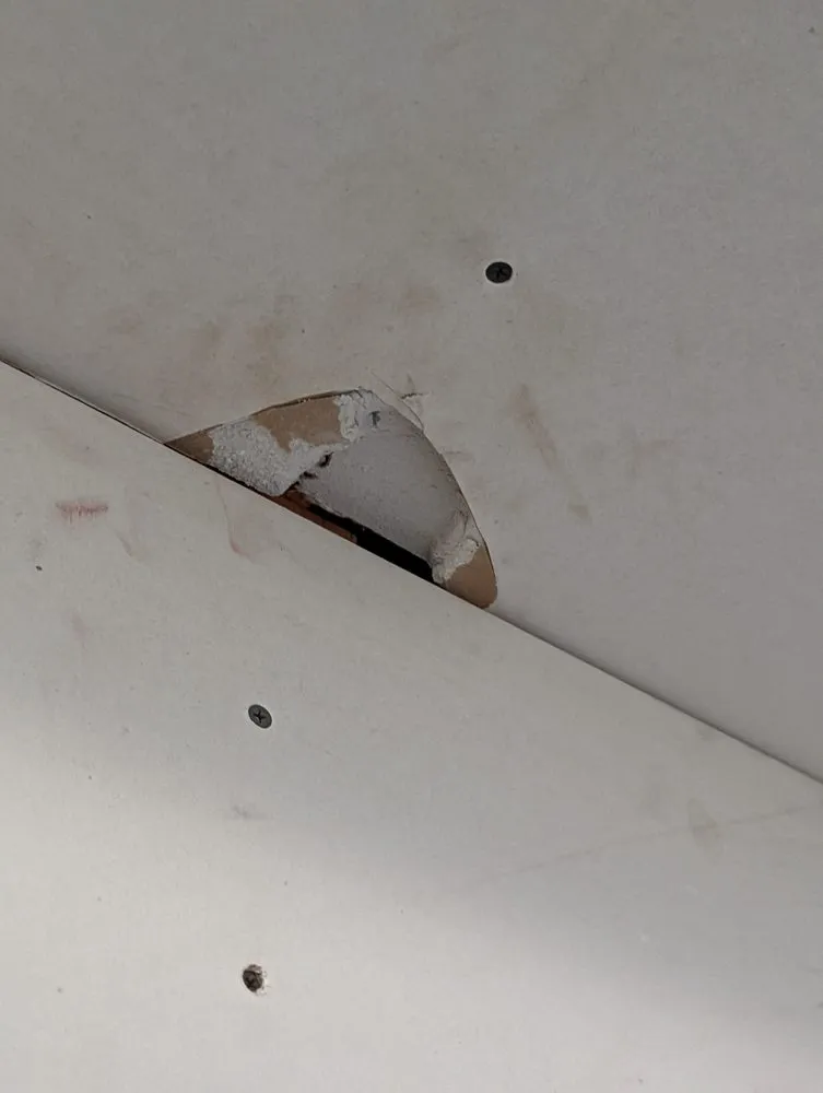 Expert yard cleanup service in Colorado Springs, CO - Gateway Maintenance