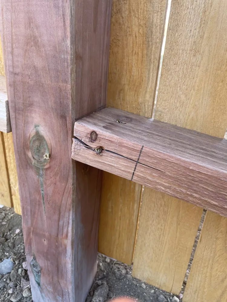 Expert yard maintenance in Colorado Springs, CO by Gateway Maintenance