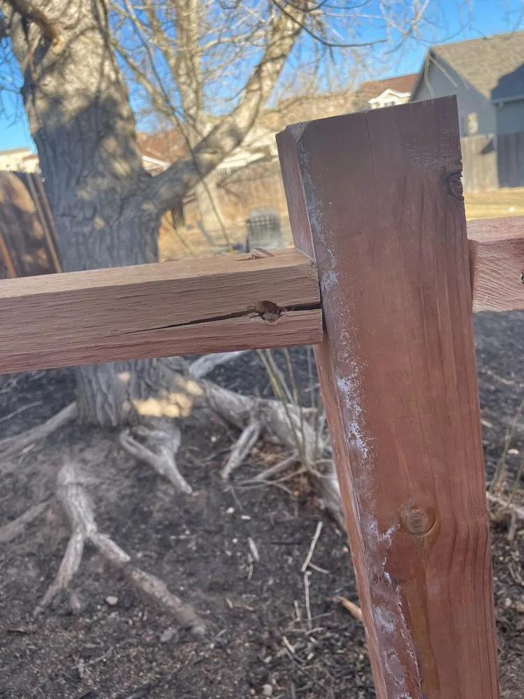 Top-rated lawn care service experts serving Colorado Springs, CO - Gateway Maintenance