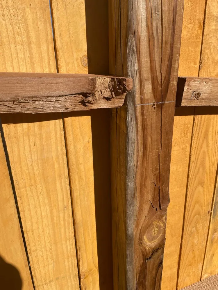 Local lawn mowing service in Colorado Springs, CO by Gateway Maintenance