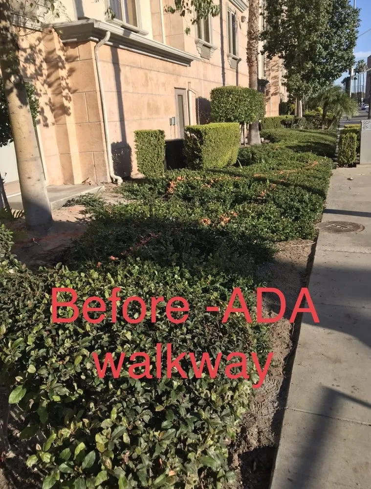 Affordable residential landscaping in Corona, CA - Gatica landscaping