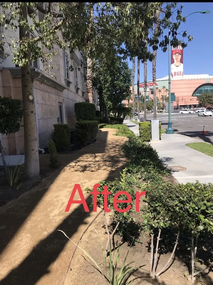 Custom landscape installation in Corona, CA by Gatica landscaping