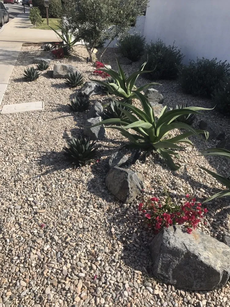 Affordable lawn care service experts serving Corona, CA - Gatica landscaping