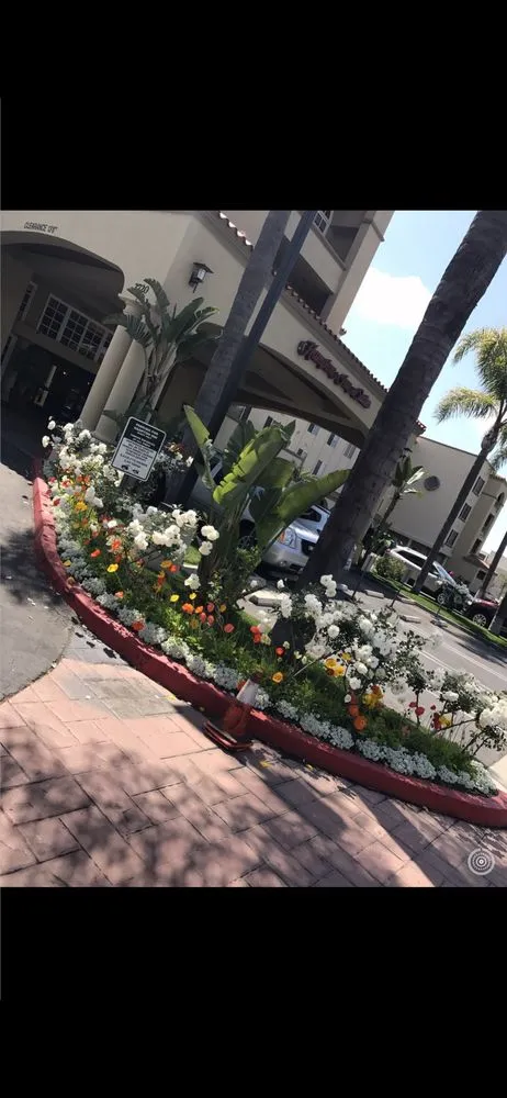 Affordable landscape installation in Corona, CA - Gatica landscaping