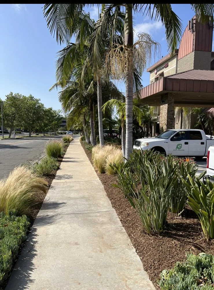 Expert lawn care service in Corona, CA by Gatica landscaping