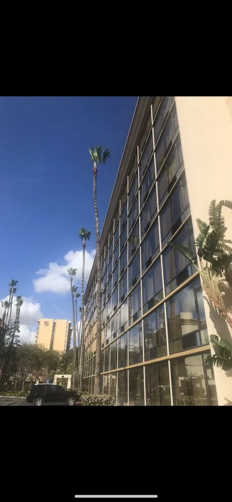 Custom landscape installation for beautiful yards in Corona, CA by Gatica landscaping