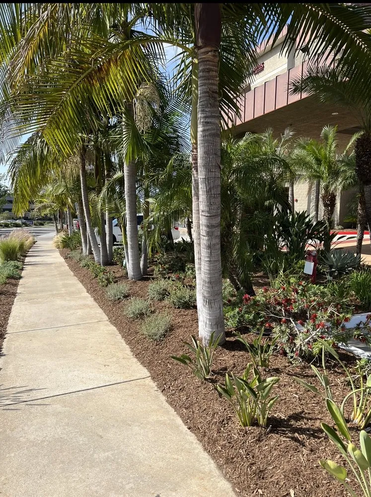Top-rated residential landscaping experts serving Corona, CA - Gatica landscaping