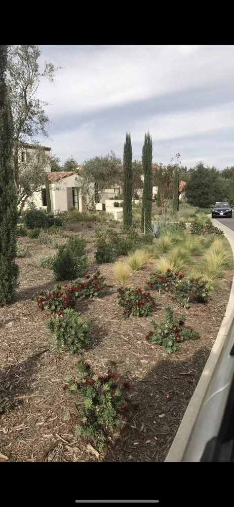 Reliable lawn mowing service experts serving Corona, CA - Gatica landscaping