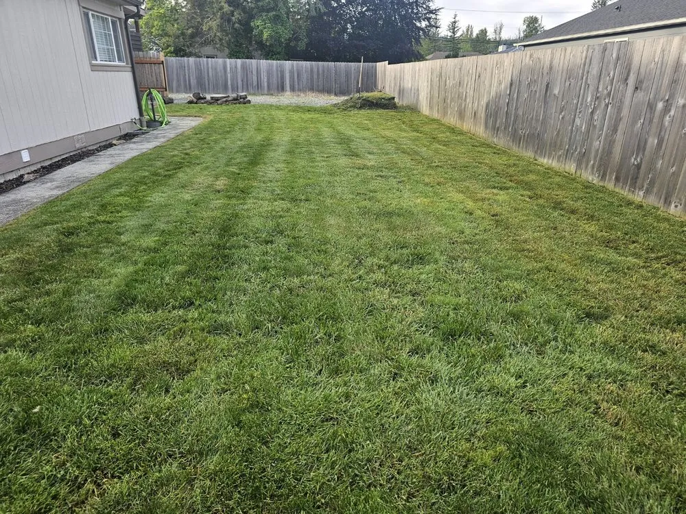 Affordable landscape installation experts serving Monroe, WA - Gatica Lawn Care