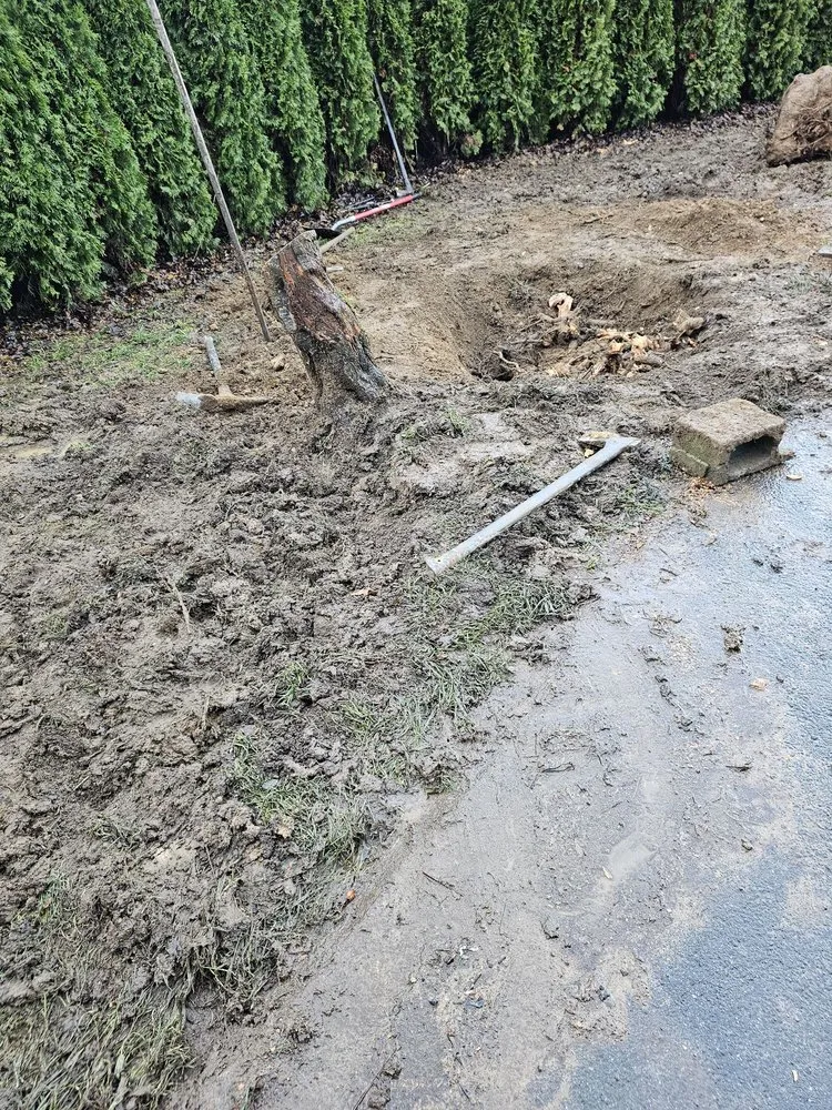 Professional lawn mowing service for year-round maintenance across Monroe, WA - Gatica Lawn Care