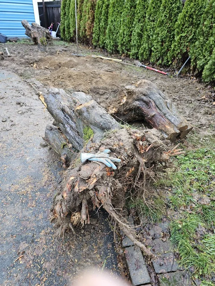 Trusted lawn mowing service in Monroe, WA - Gatica Lawn Care