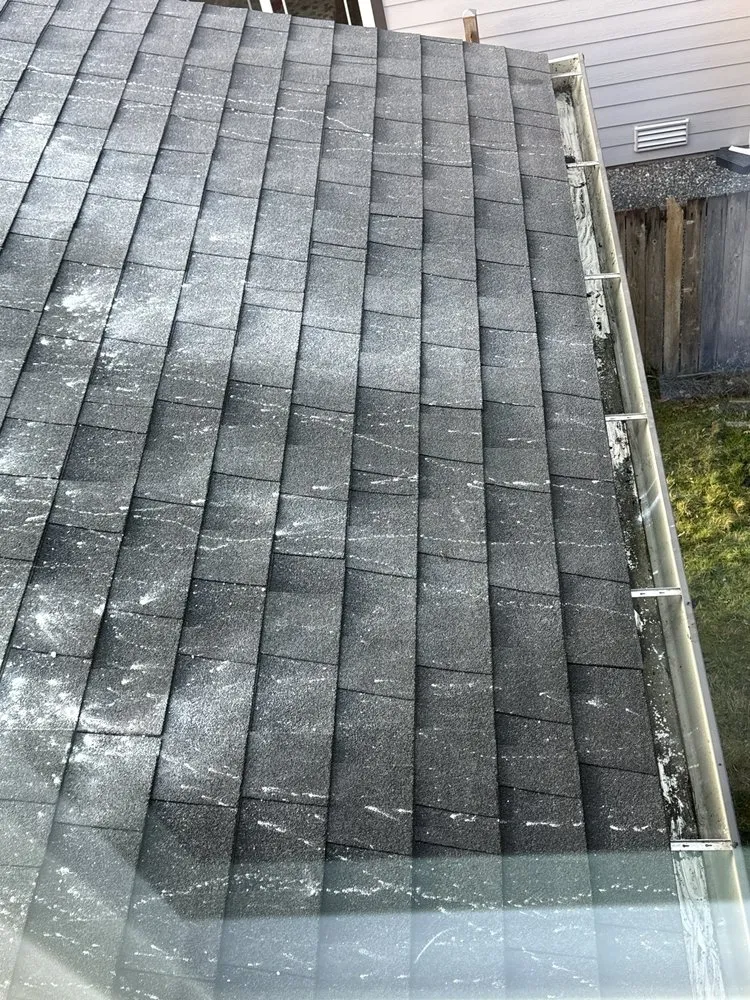 Affordable yard cleanup service in Monroe, WA by Gatica Lawn Care