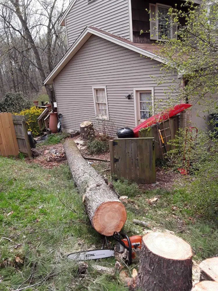 Local outdoor landscaping experts serving Woodbridge, VA - Gatling Tree Service