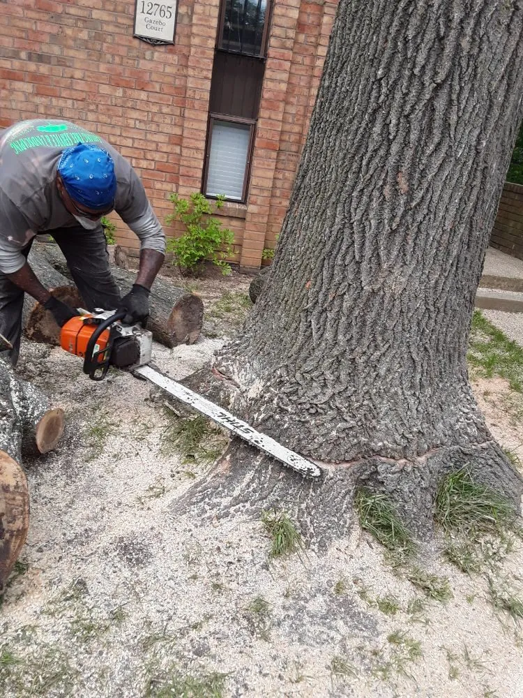 Expert residential landscaping in Woodbridge, VA - Gatling Tree Service
