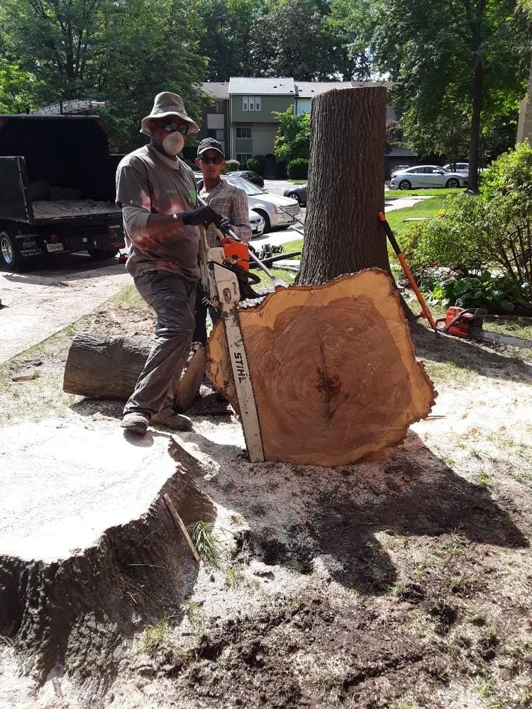 Trusted outdoor landscaping in Woodbridge, VA by Gatling Tree Service