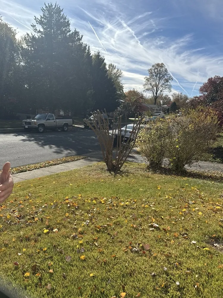 Local yard cleanup service in Woodbridge, VA - Gatling Tree Service