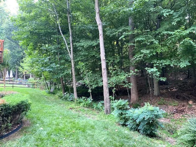 Trusted yard maintenance for outdoor upgrades in Woodbridge, VA by Gatling Tree Service