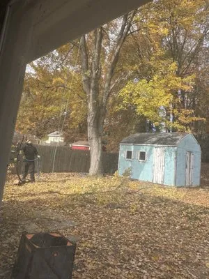 Gatling Tree Service Logo