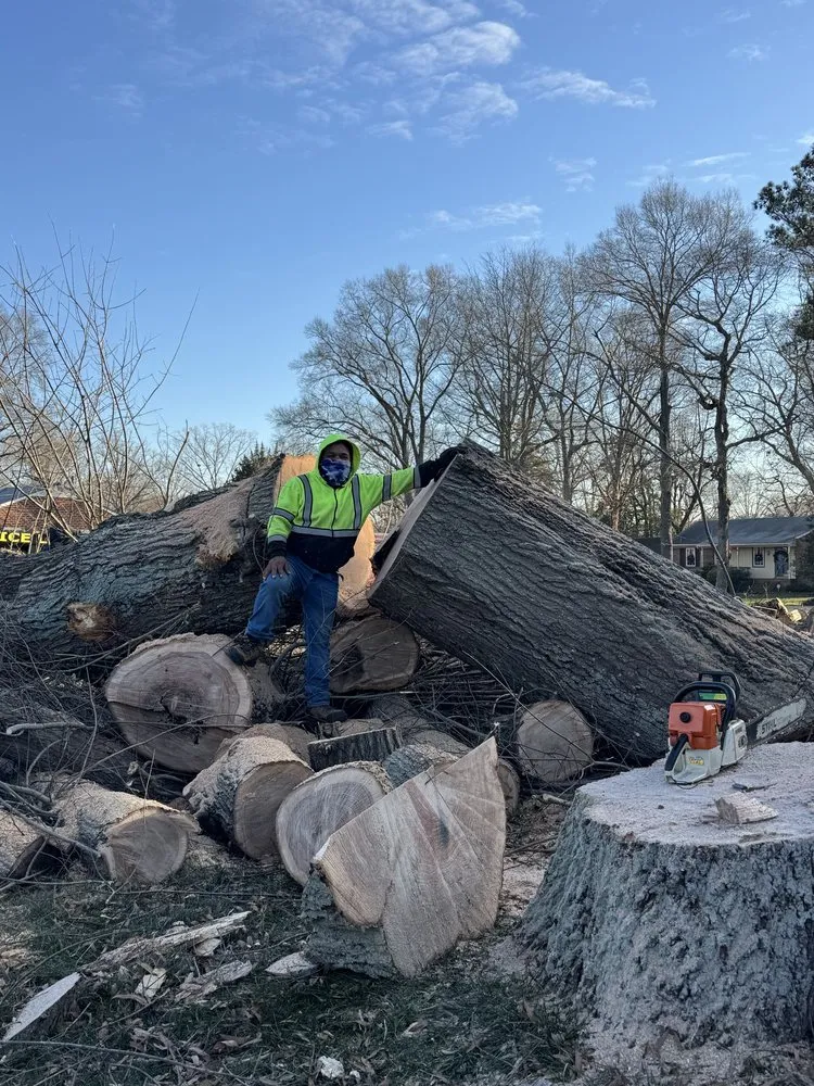 Trusted landscape installation with custom design in Blackstone, VA by Gato Tree Services