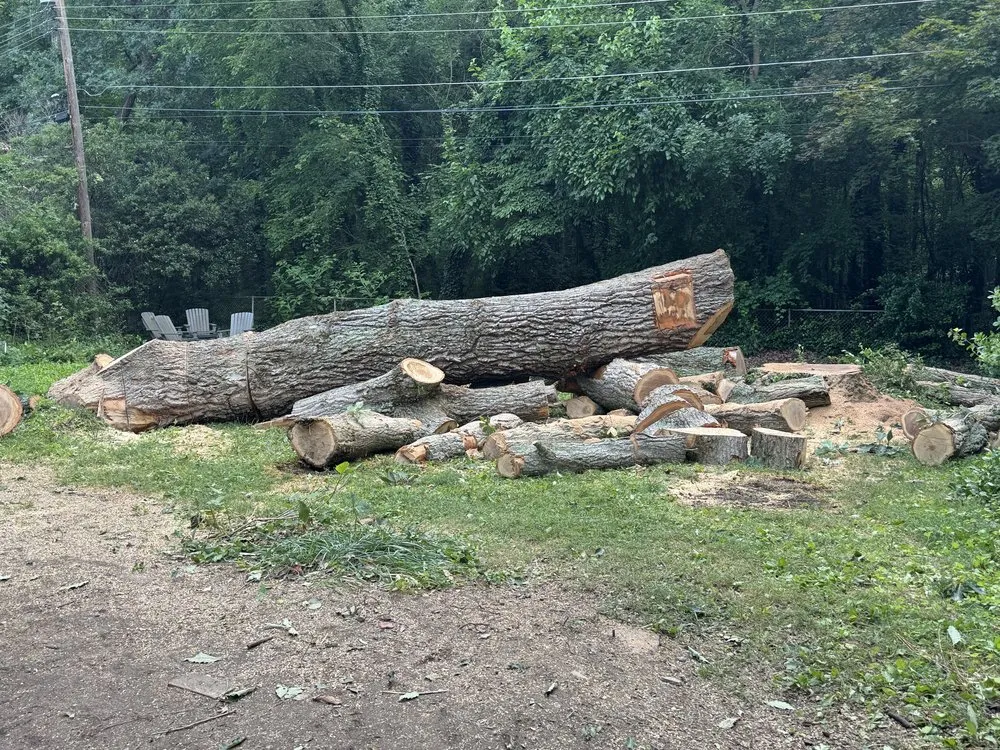 Trusted landscaping services experts serving Blackstone, VA - Gato Tree Services