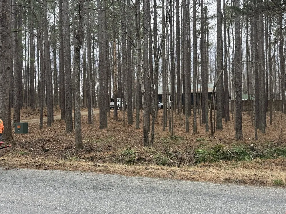 Trusted outdoor landscaping near you across Blackstone, VA - Gato Tree Services