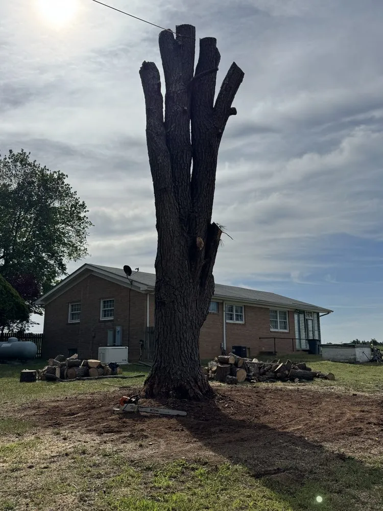 Trusted landscape installation for year-round maintenance across Blackstone, VA - Gato Tree Services