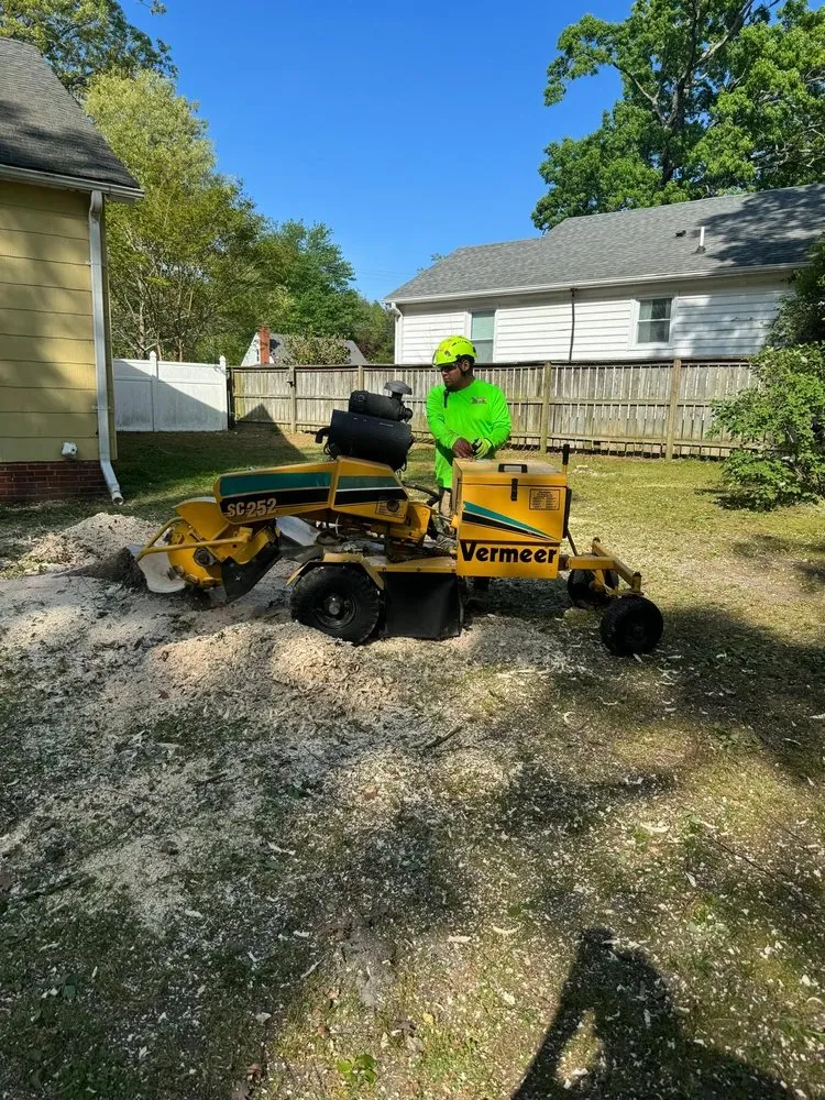 Reliable outdoor landscaping for year-round maintenance across Blackstone, VA - Gato Tree Services