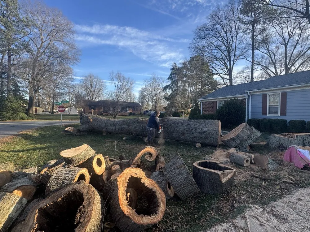 Expert yard cleanup service in Blackstone, VA - Gato Tree Services