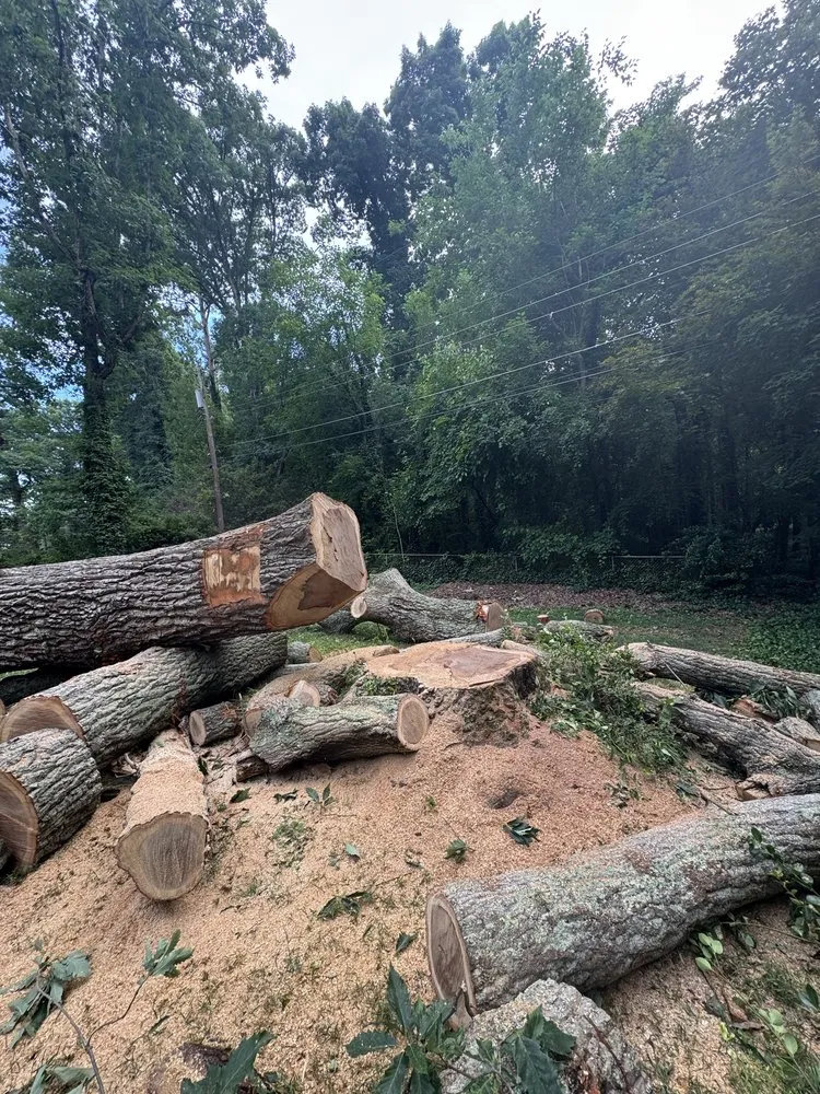 Trusted landscaping services in Blackstone, VA - Gato Tree Services