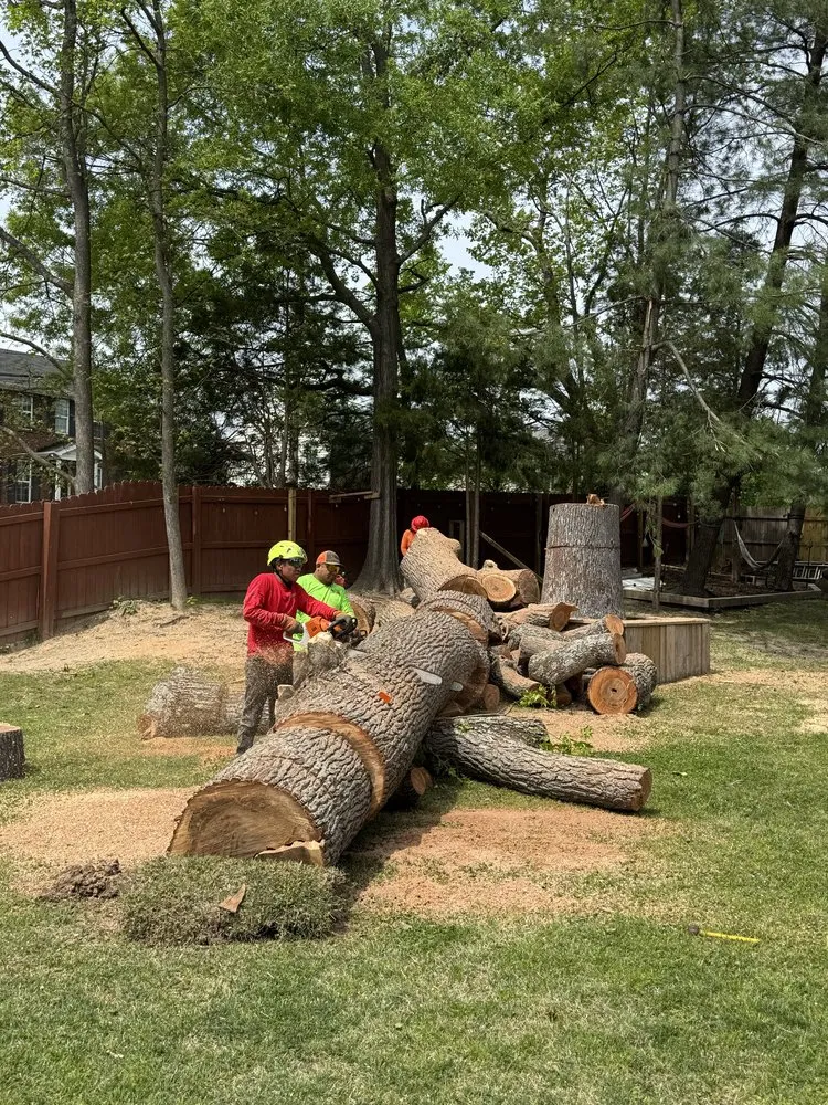 Top-rated landscape installation in Blackstone, VA by Gato Tree Services